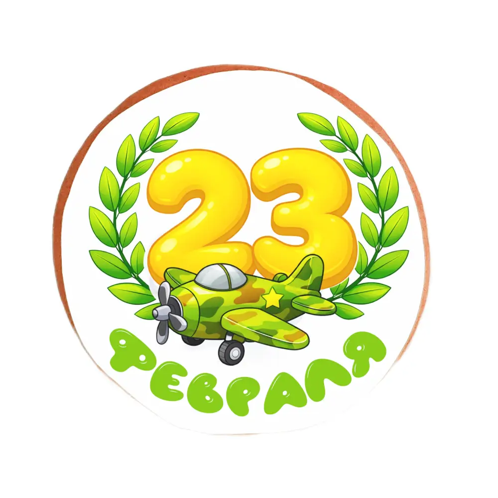 Пряник «23 февраля. Самолет»